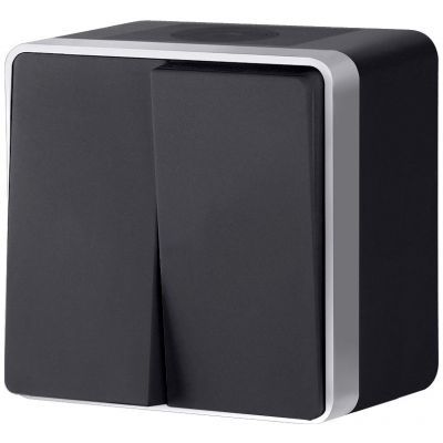 Выключатель накладной Werkel Gallant 2-кл. IP44 черный с серебром фото Выключатель накладной Werkel Gallant 2-кл. IP44 черный с серебром картинка